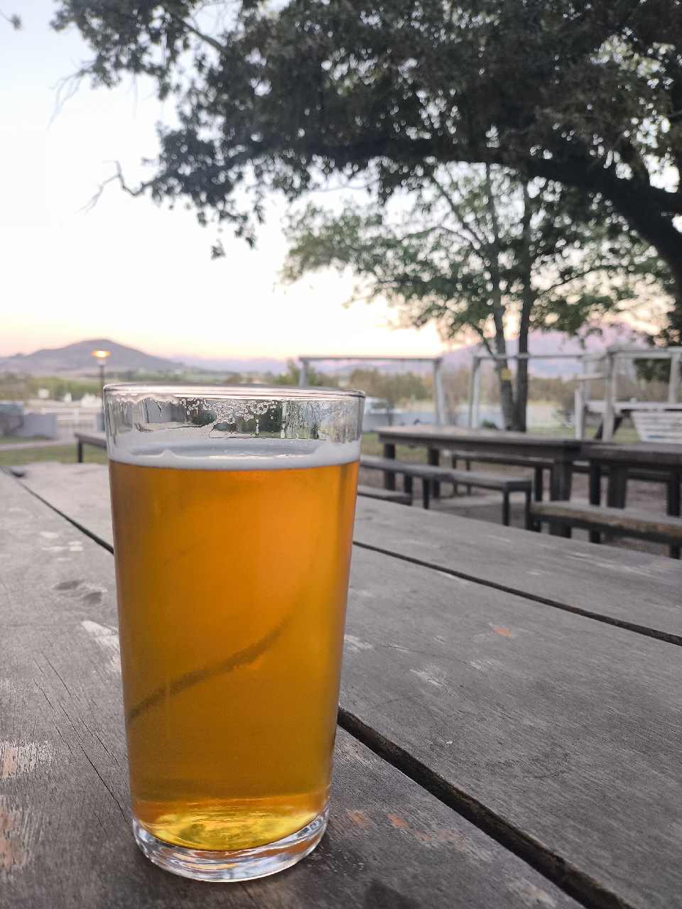 Rosebank Lager, South Africa