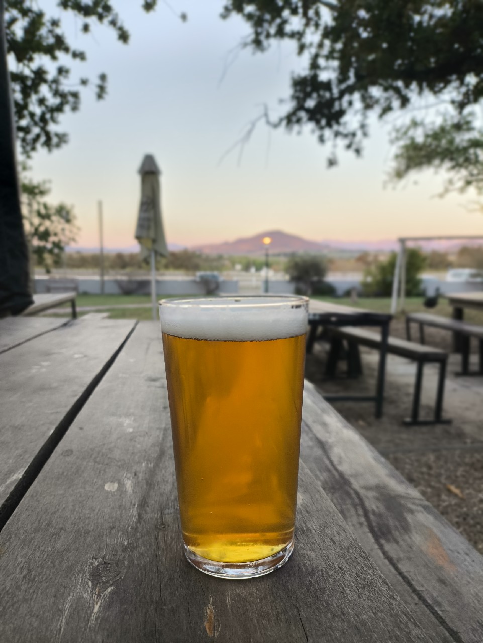 Rosebank Lager, South Africa