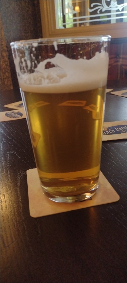 jester brew 28, England