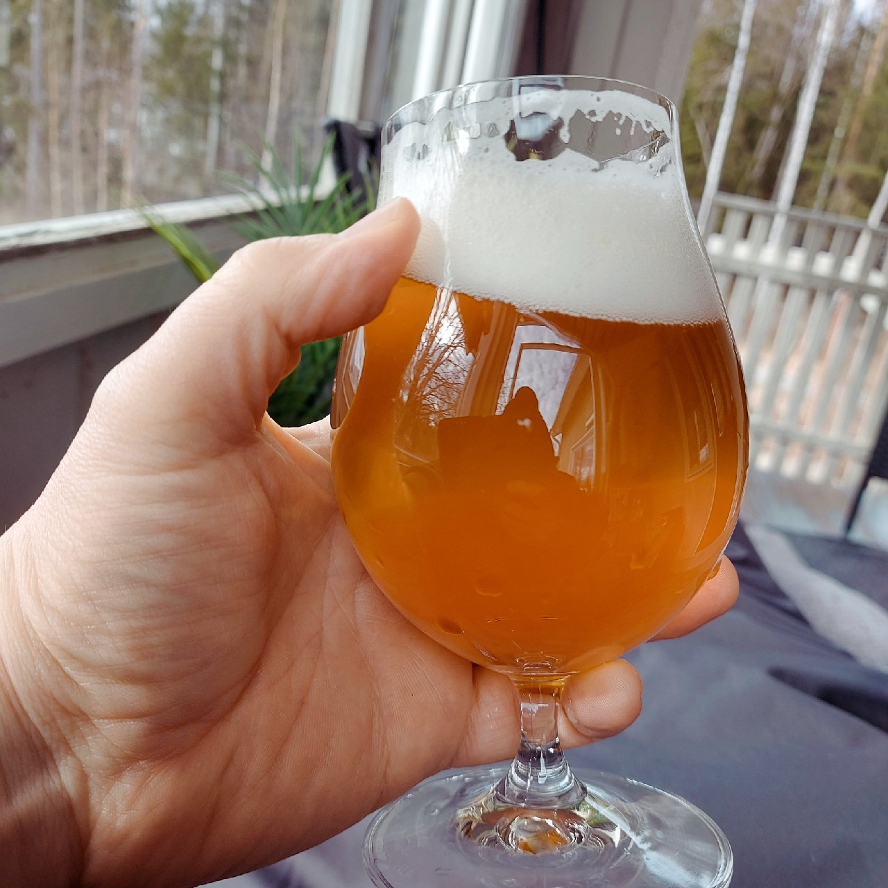 kotipano -BLONDI (Homebrew), Finland