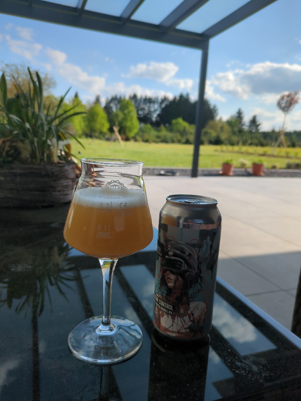 silicon control, Romania