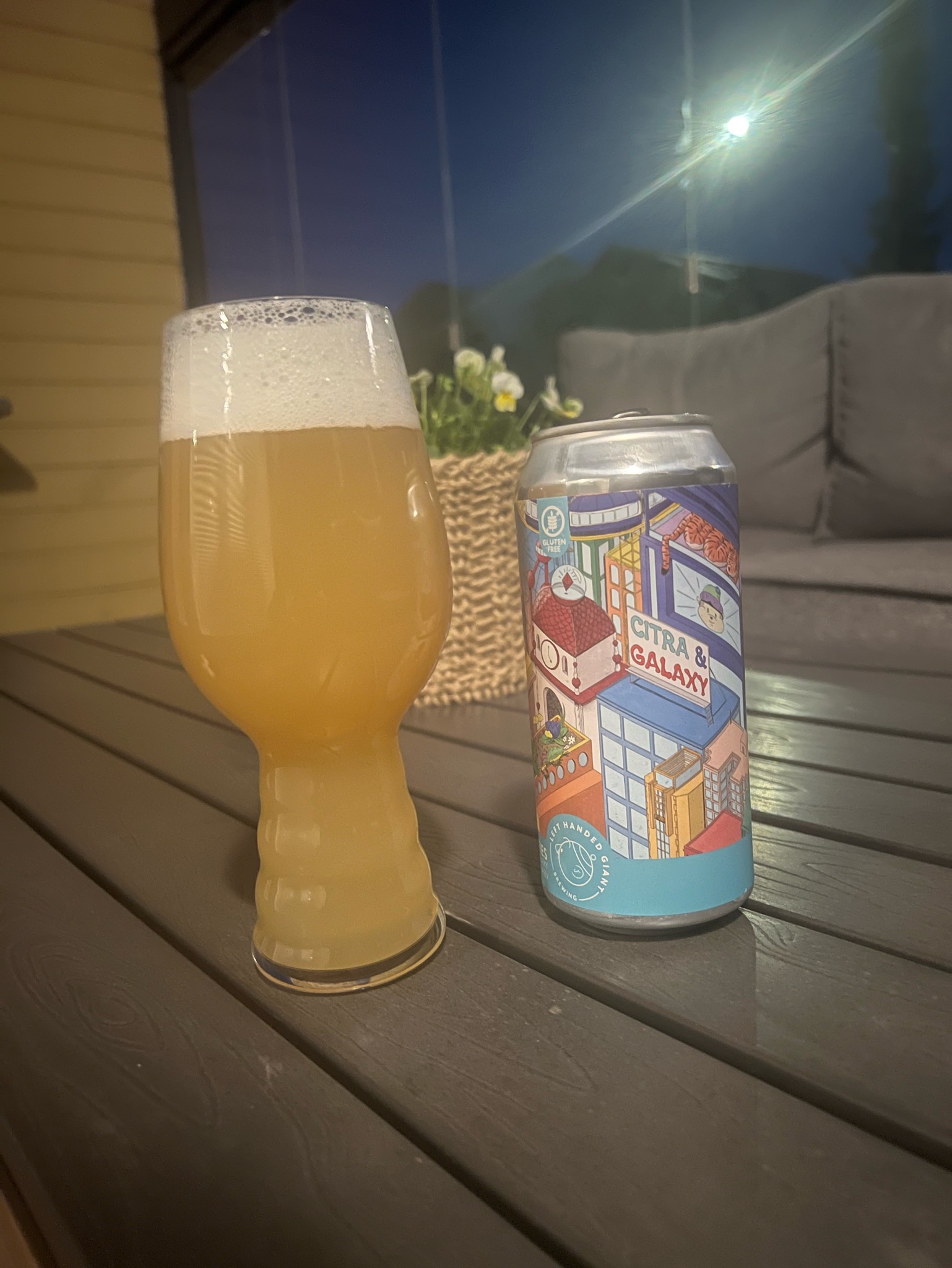 Twin Cities: Citra & Galaxy (GF), Left Handed Giant Brewing