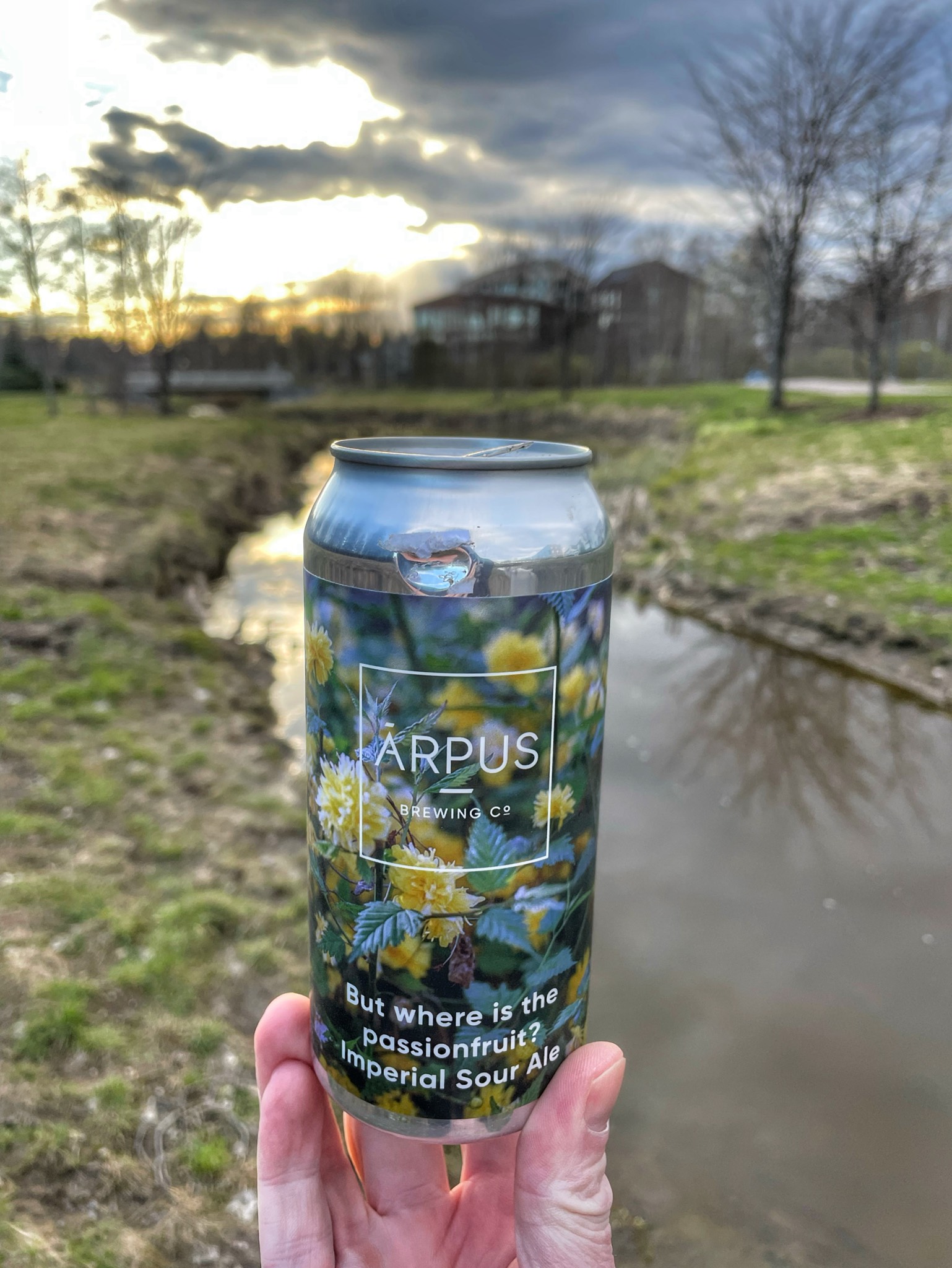 But Where Is The Passionfruit? Imperial Sour Ale, Latvia