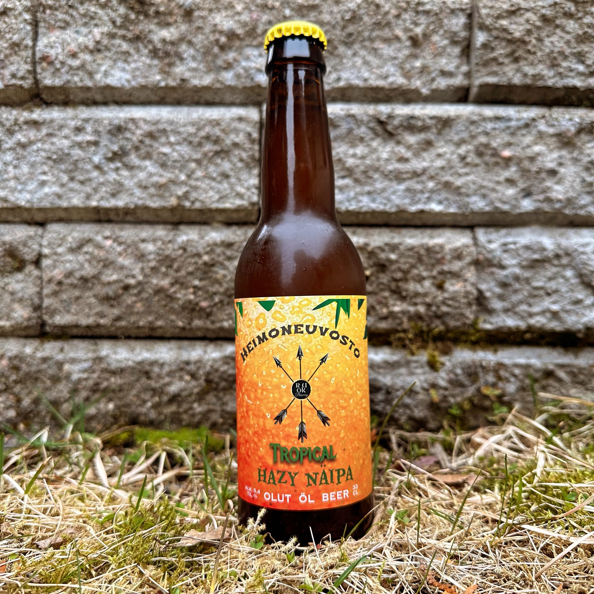 Heimoneuvosto, Finland