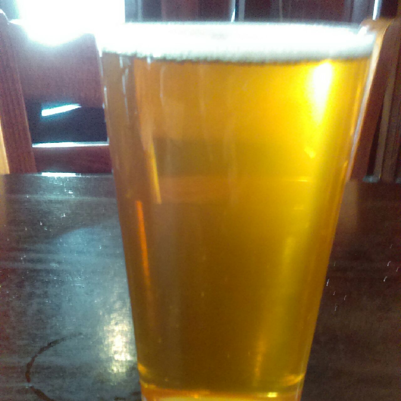 Apricot Jungle, England