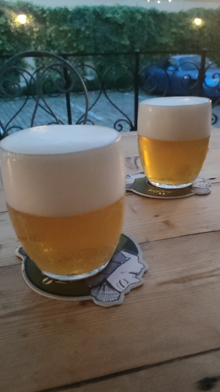 Jungberg PP 12°, Pivovar JungBerg