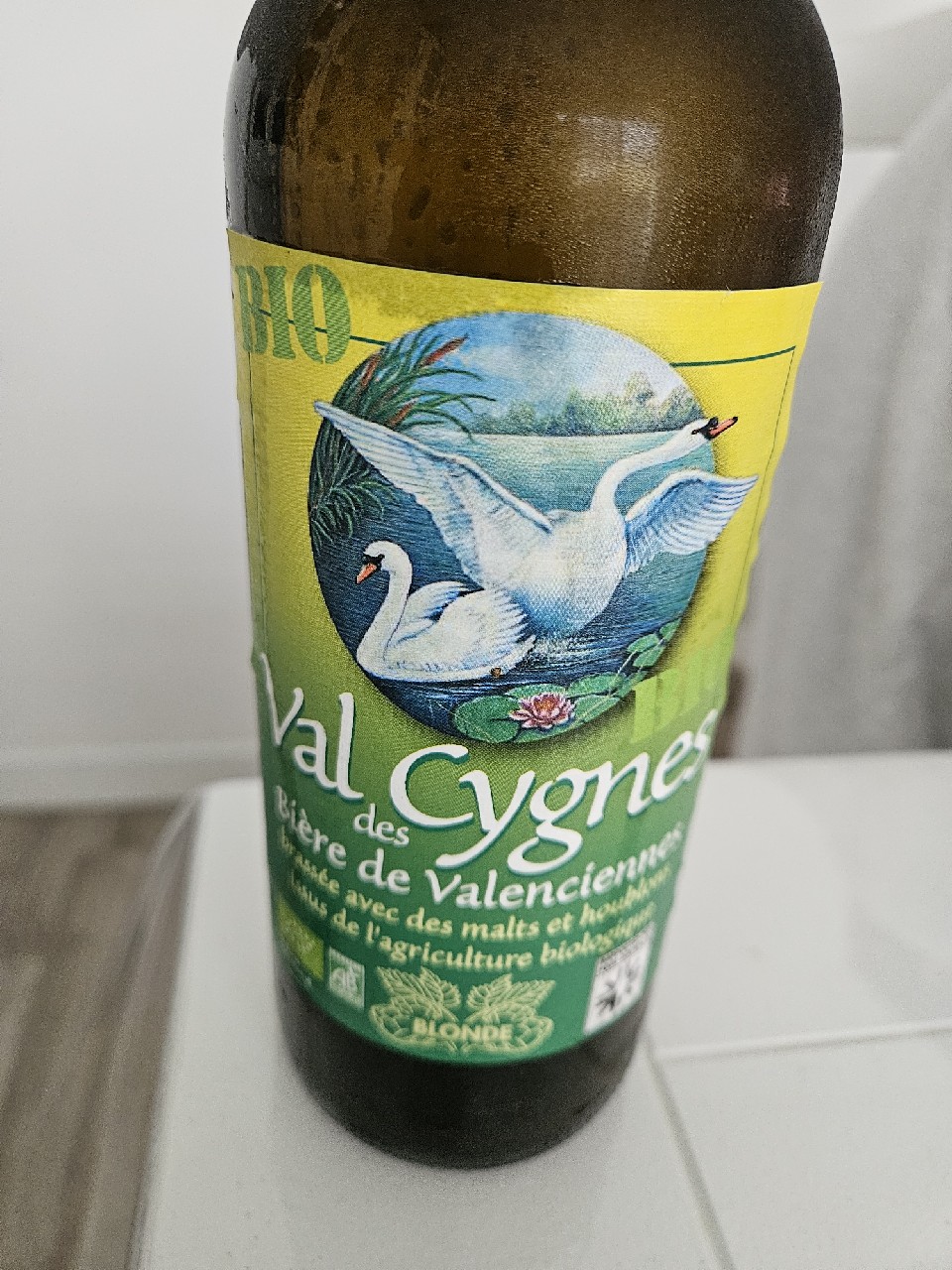 Val Des Cygnes, France