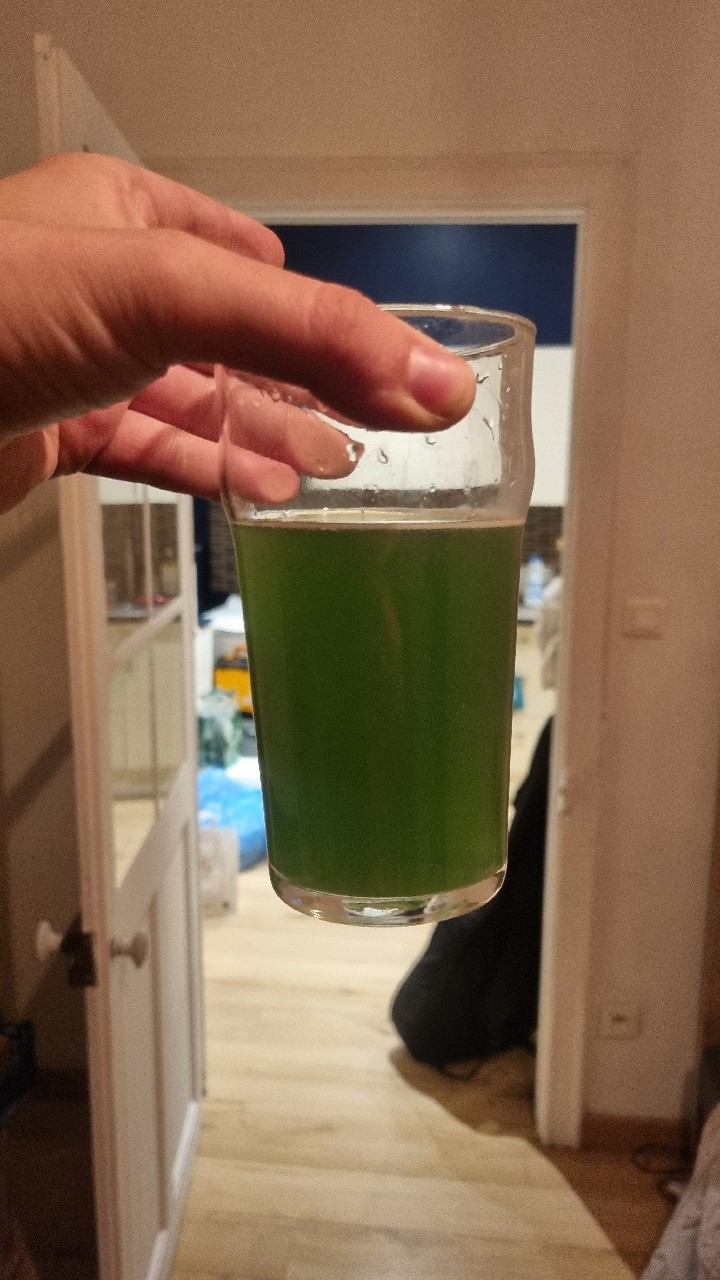 Shamrock Shake, Ireland