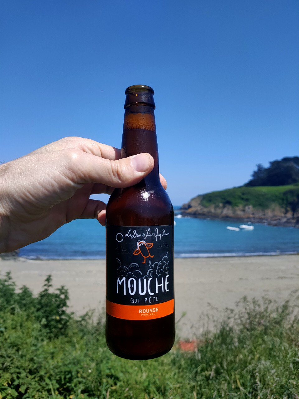 La Mouche Qui Pète Rousse, France