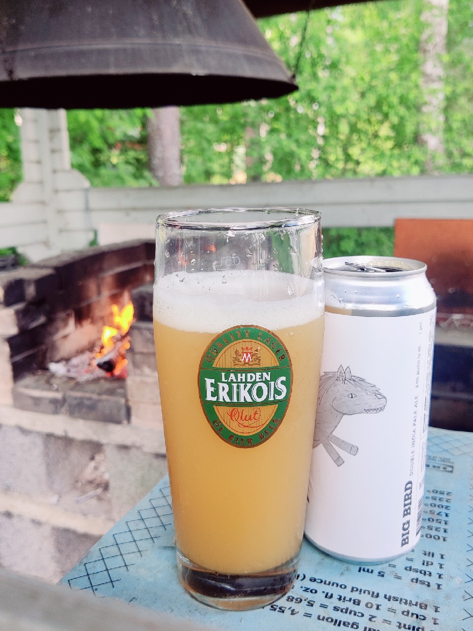 Big Bird, United States