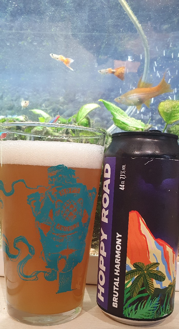 Brutal Harmony, France