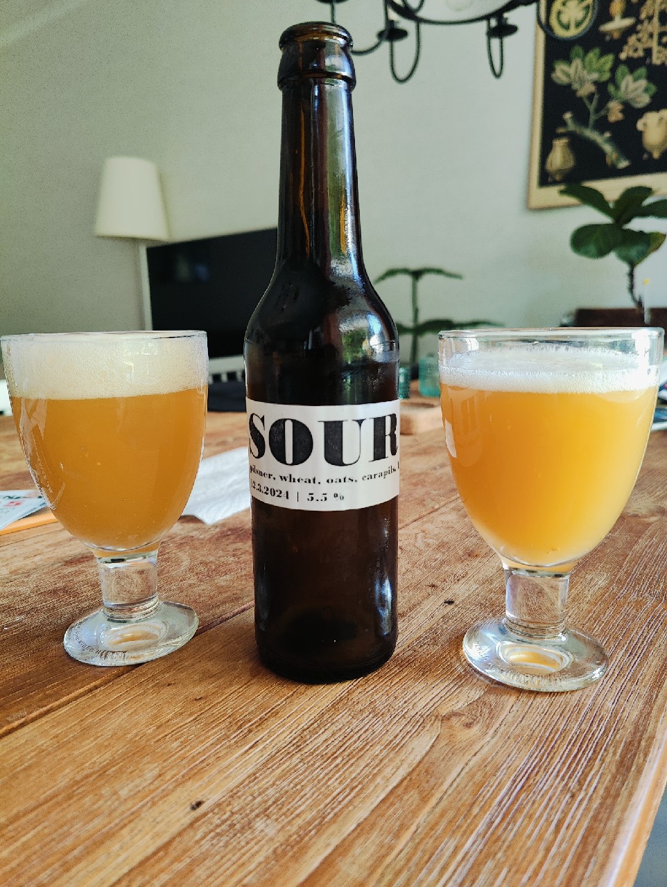 Sour Ale, Finland