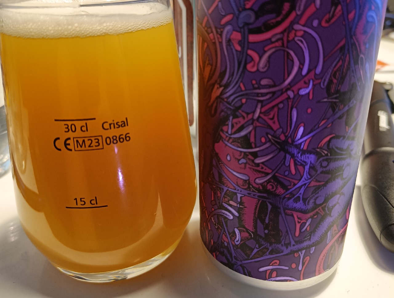 DDH Extra Extra Knuckle (Mosaic), United States