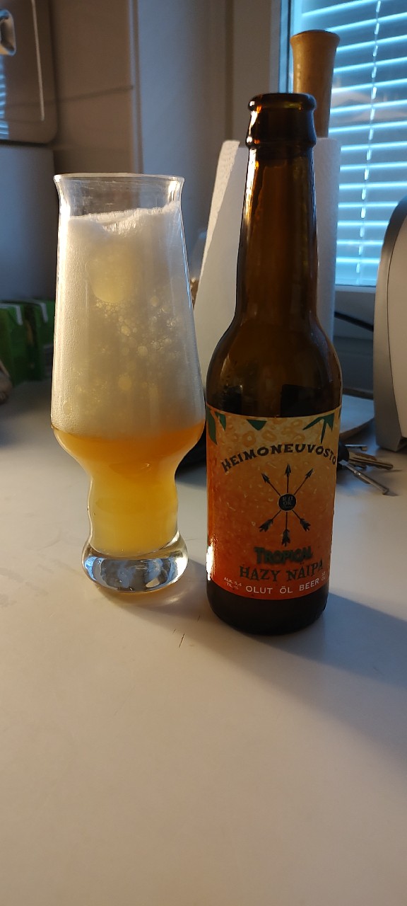 Heimoneuvosto, Finland