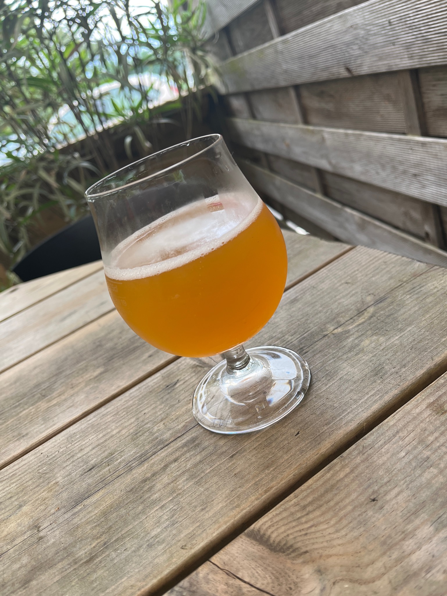 Berliner Kindl Radler Naturtrüb, Germany