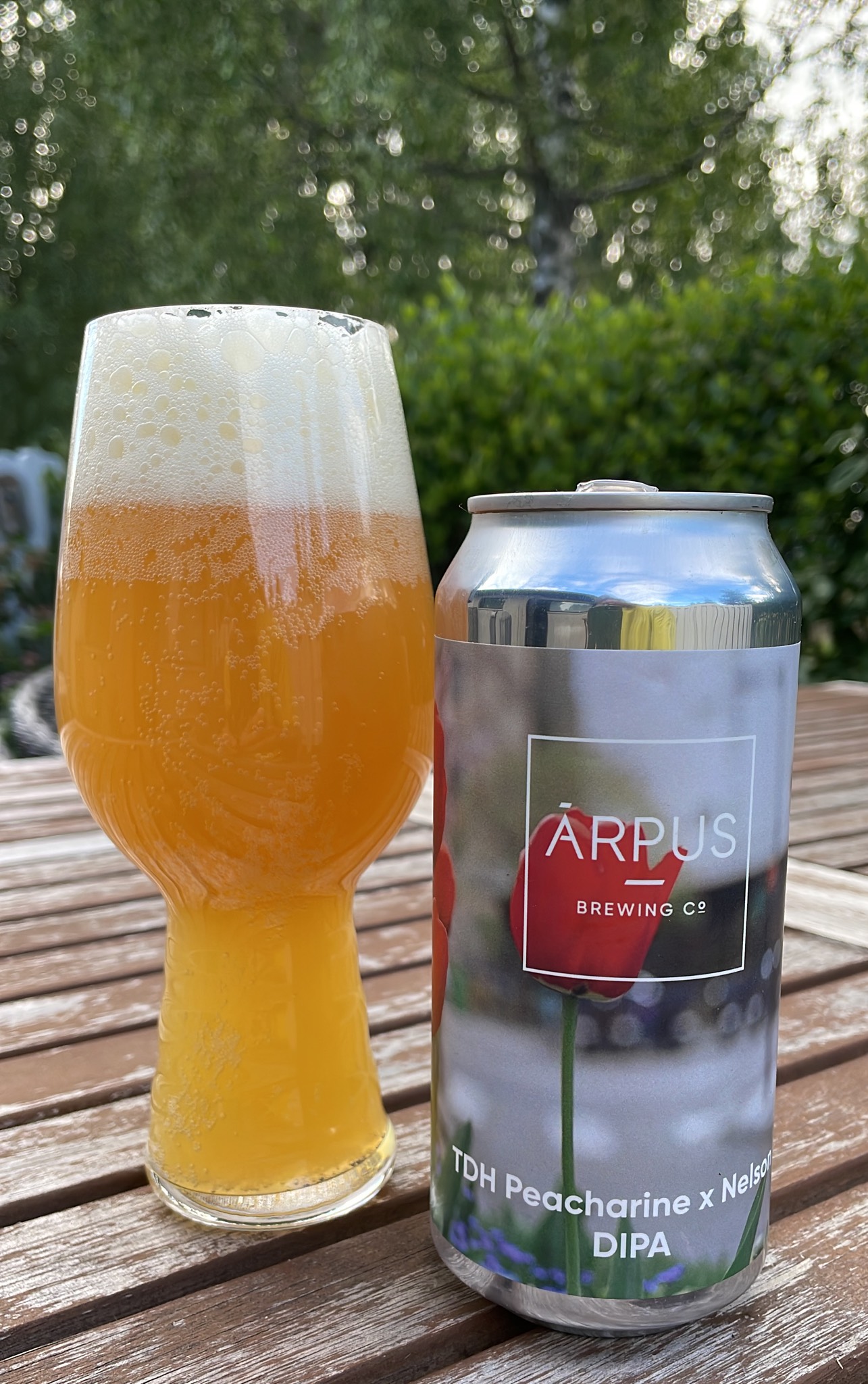 TDH Peacharine x Nelson DIPA, Latvia