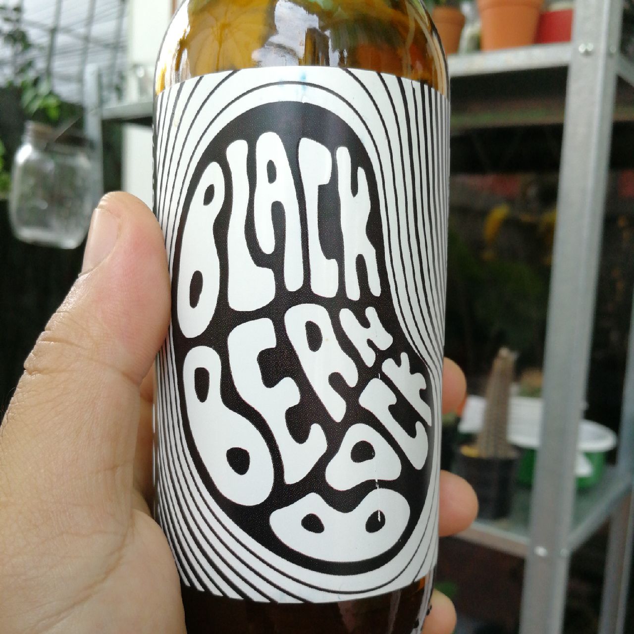 Black Bean Bock, Cambodia