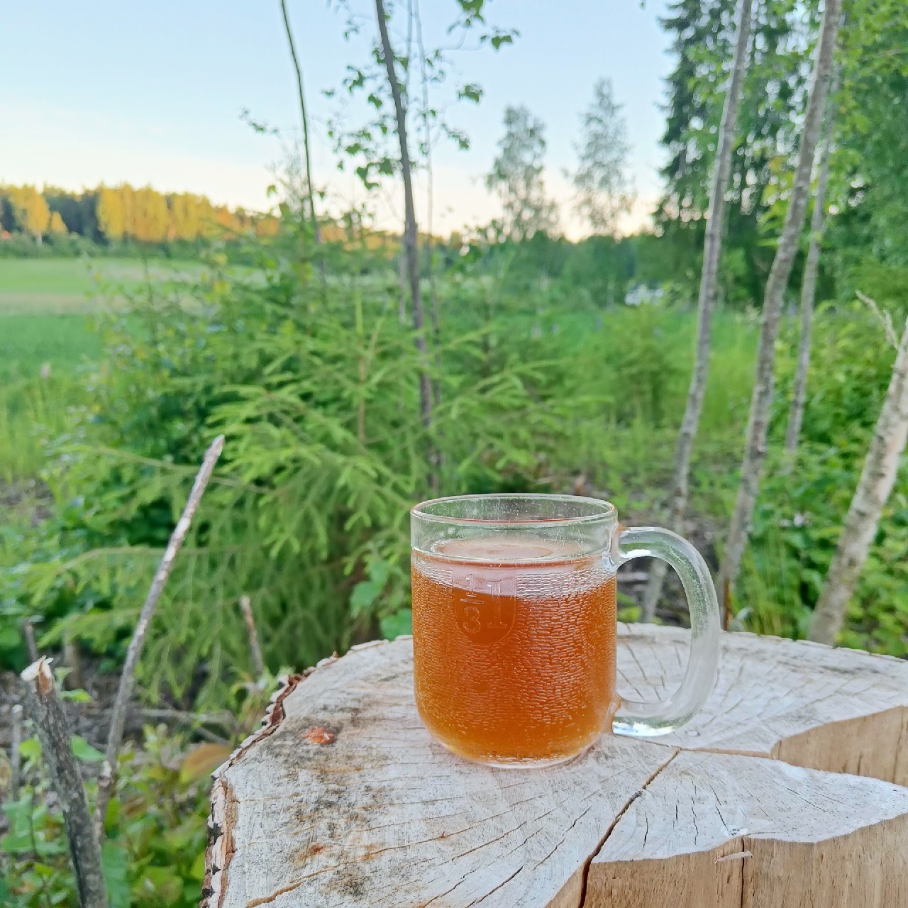 Juhannussahti 2024, Batch 1, JK Brewing
