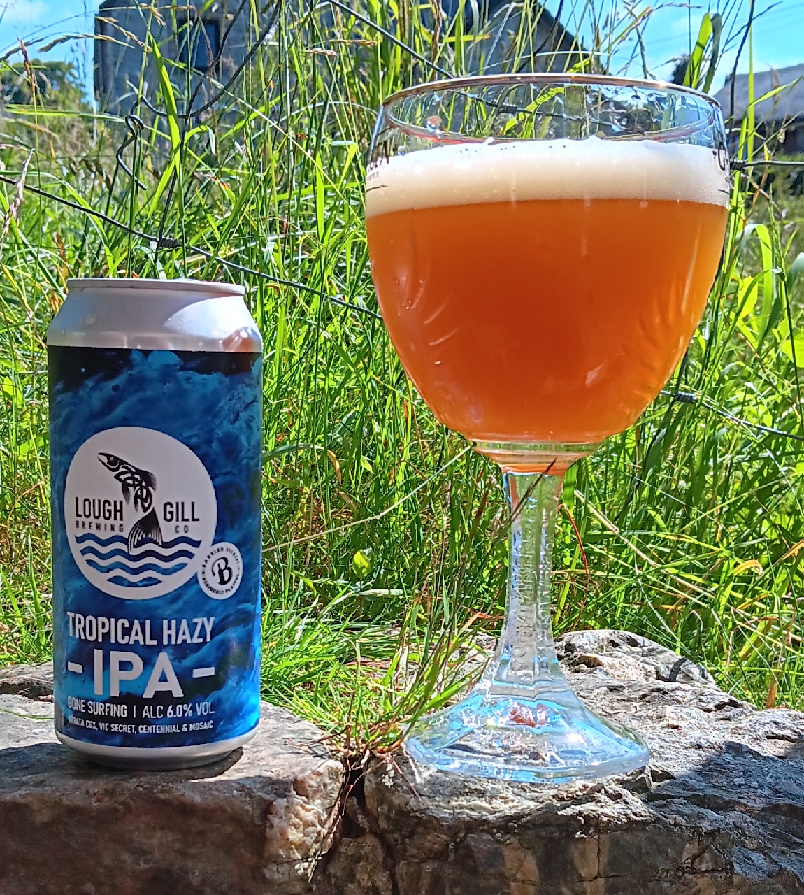 tropical hazy, Ireland