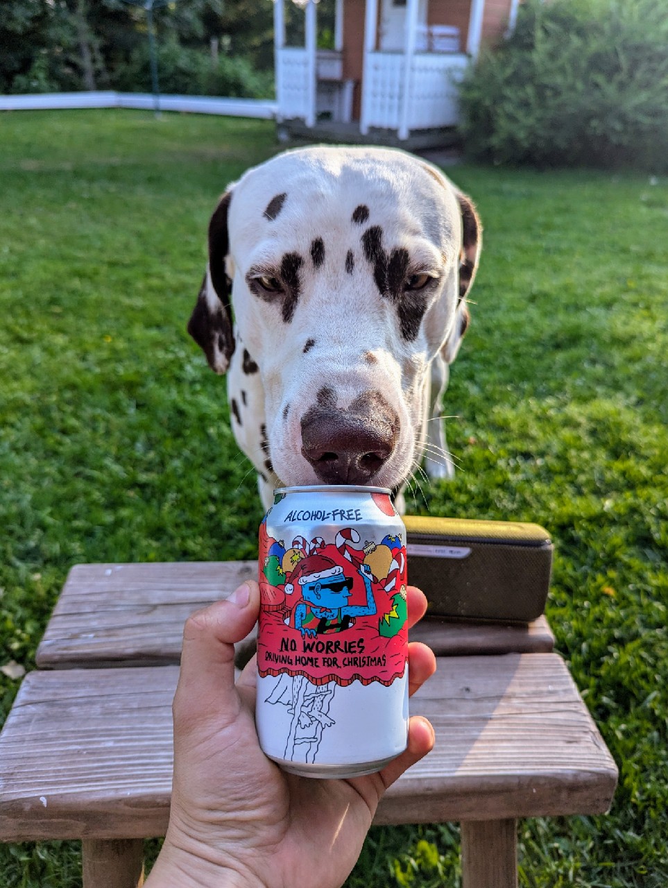 No Worries Driving Home For Christmas, Norway