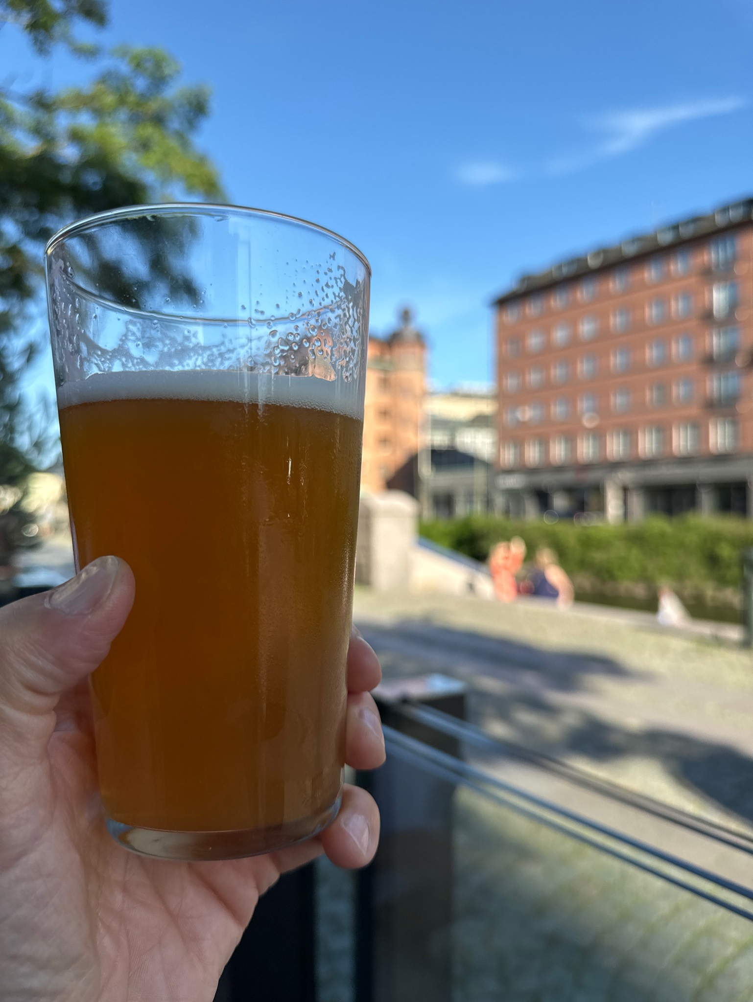 Voodoo Ranger Hazy India Pale Ale, United States