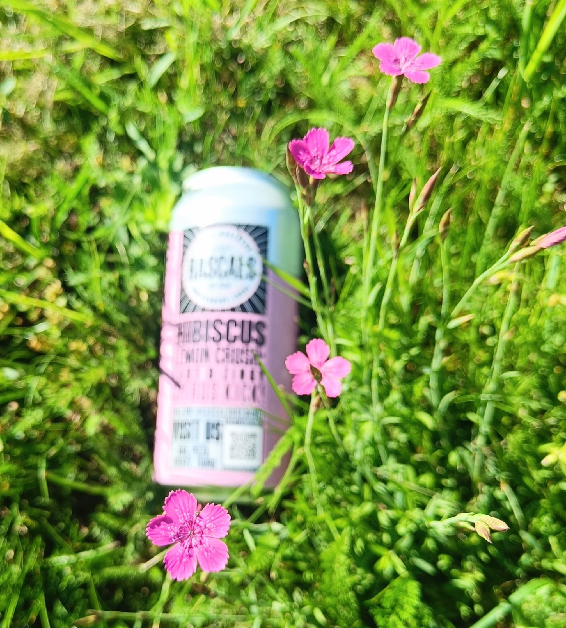 Pink Lemonade Sour, Ireland