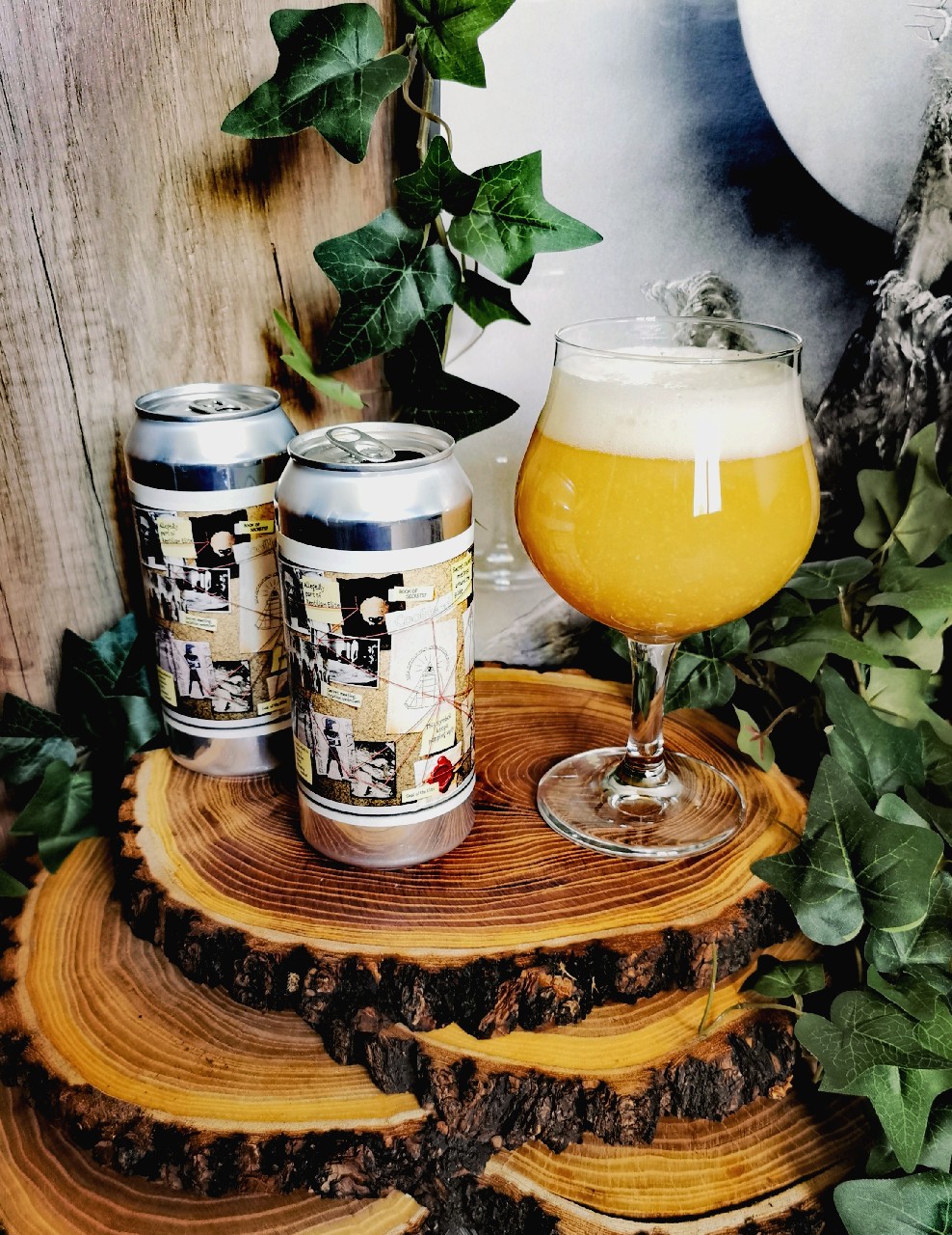 Tin Foil Hat Series #02: Reptilian Elite, Finland