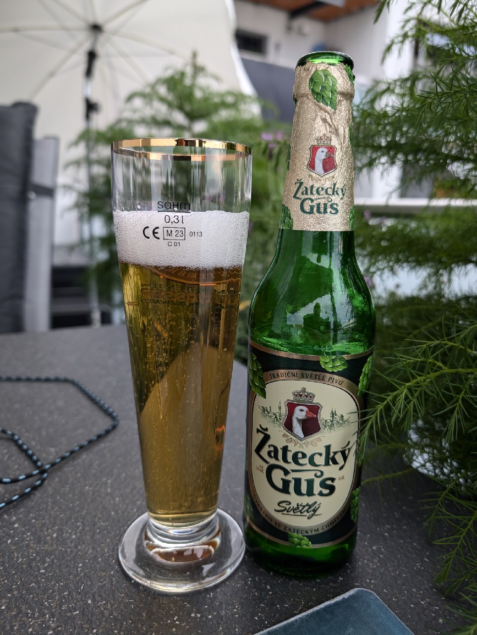 Žatecký Gus, Russia