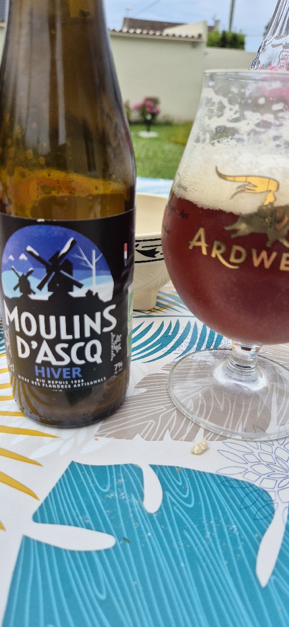 Moulins D'Ascq Hiver, France