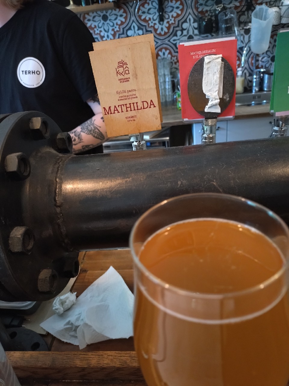 Terho Vehnä, Finland