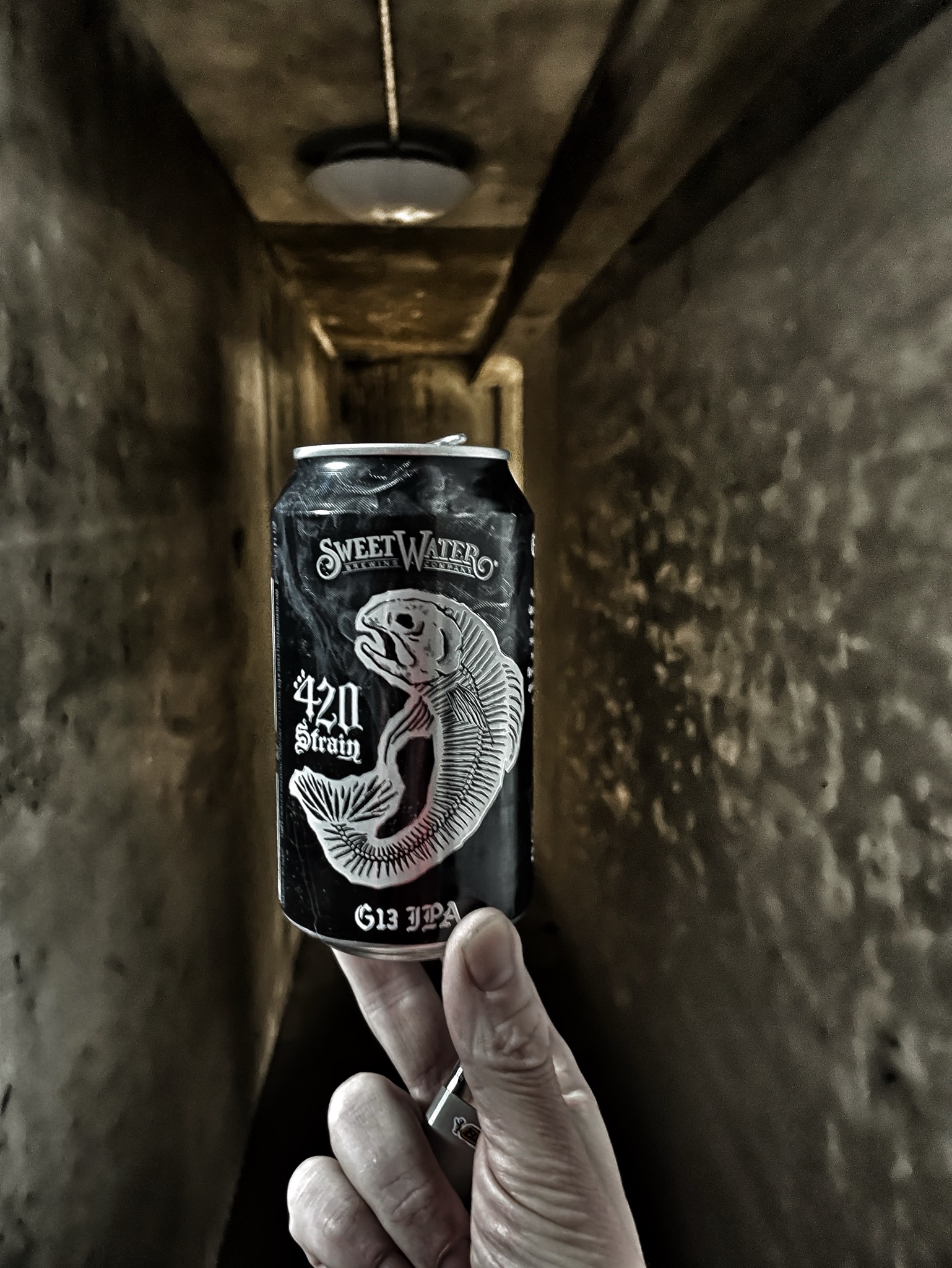 420 Strain G13 IPA, United States