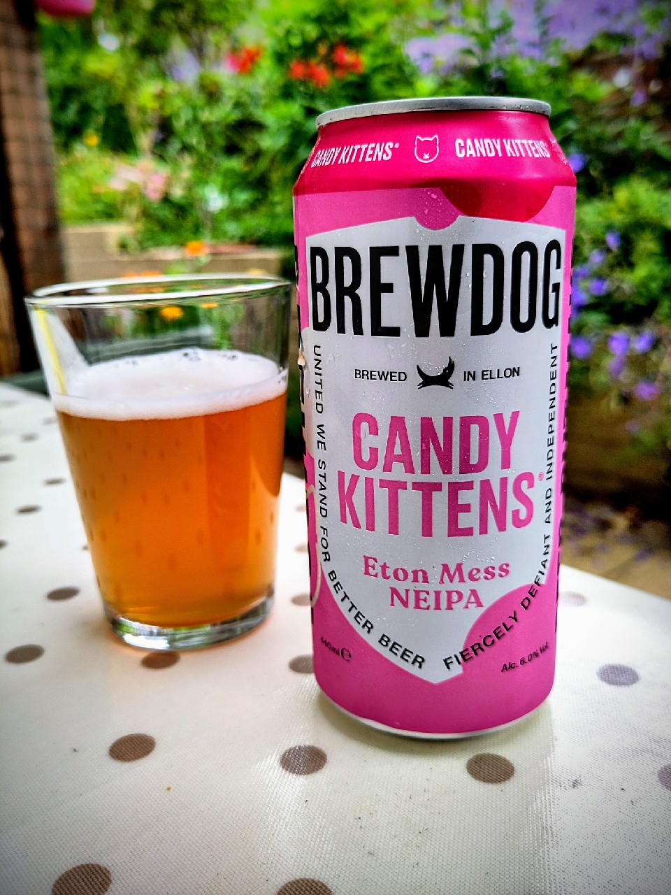 Candy Kittens Eton Mess, Scotland