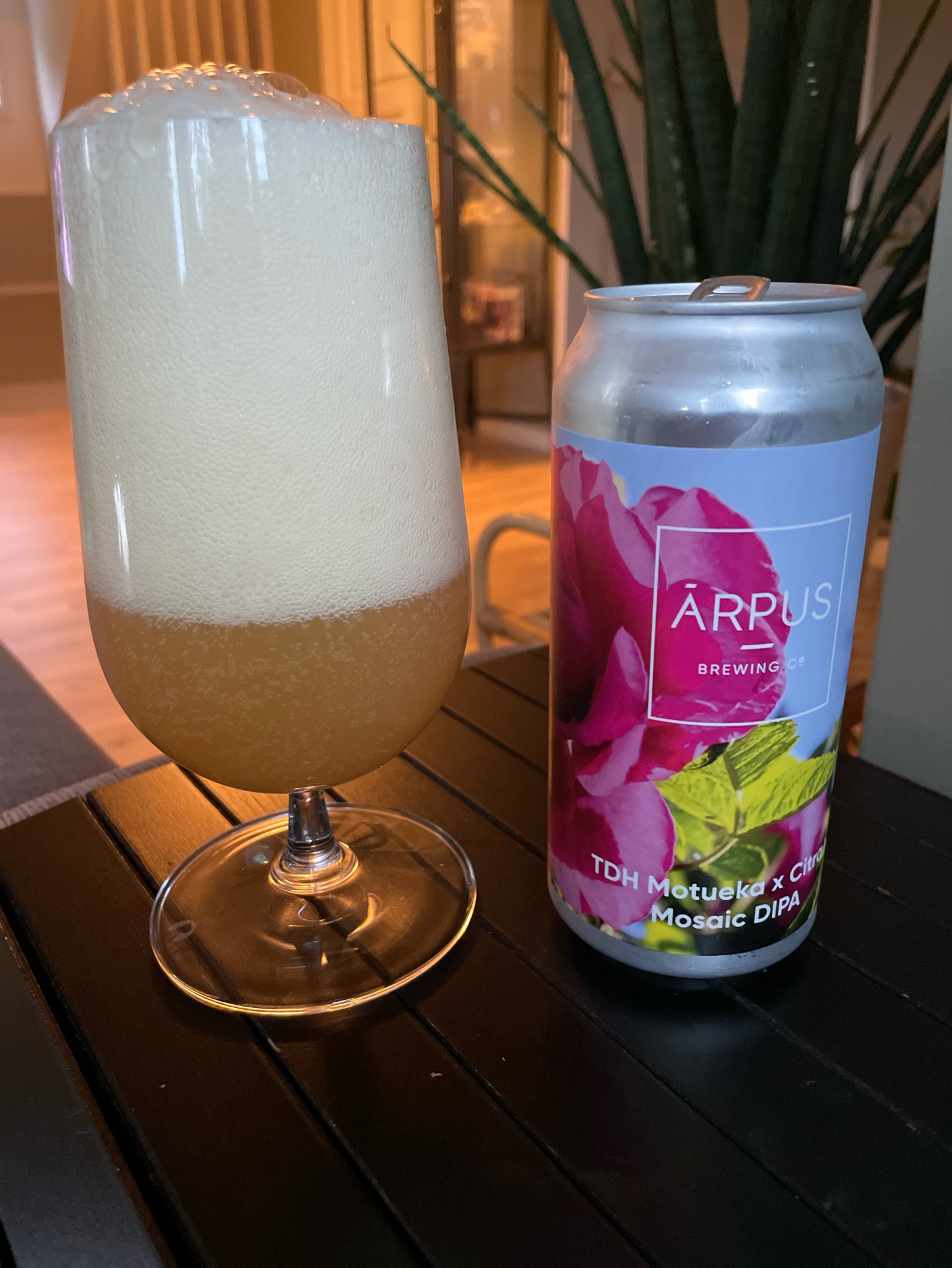 TDH Motueka x Citra x Mosaic DIPA, Latvia