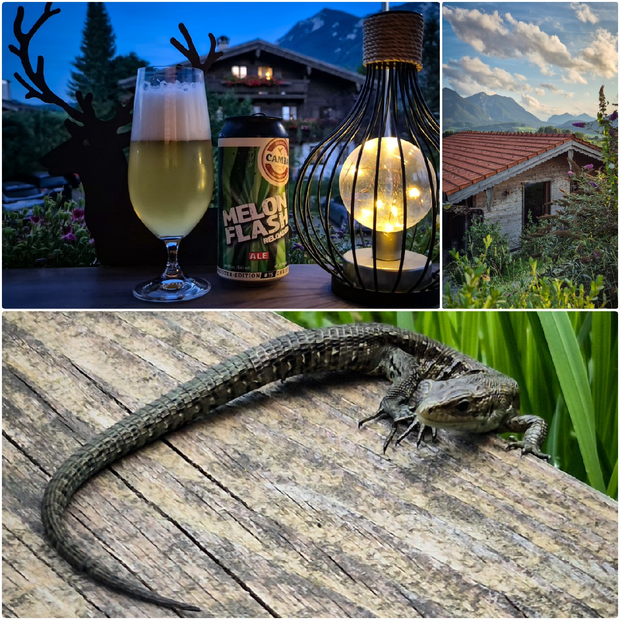 CAMBA Melon Flash Reloaded Ale, Germany