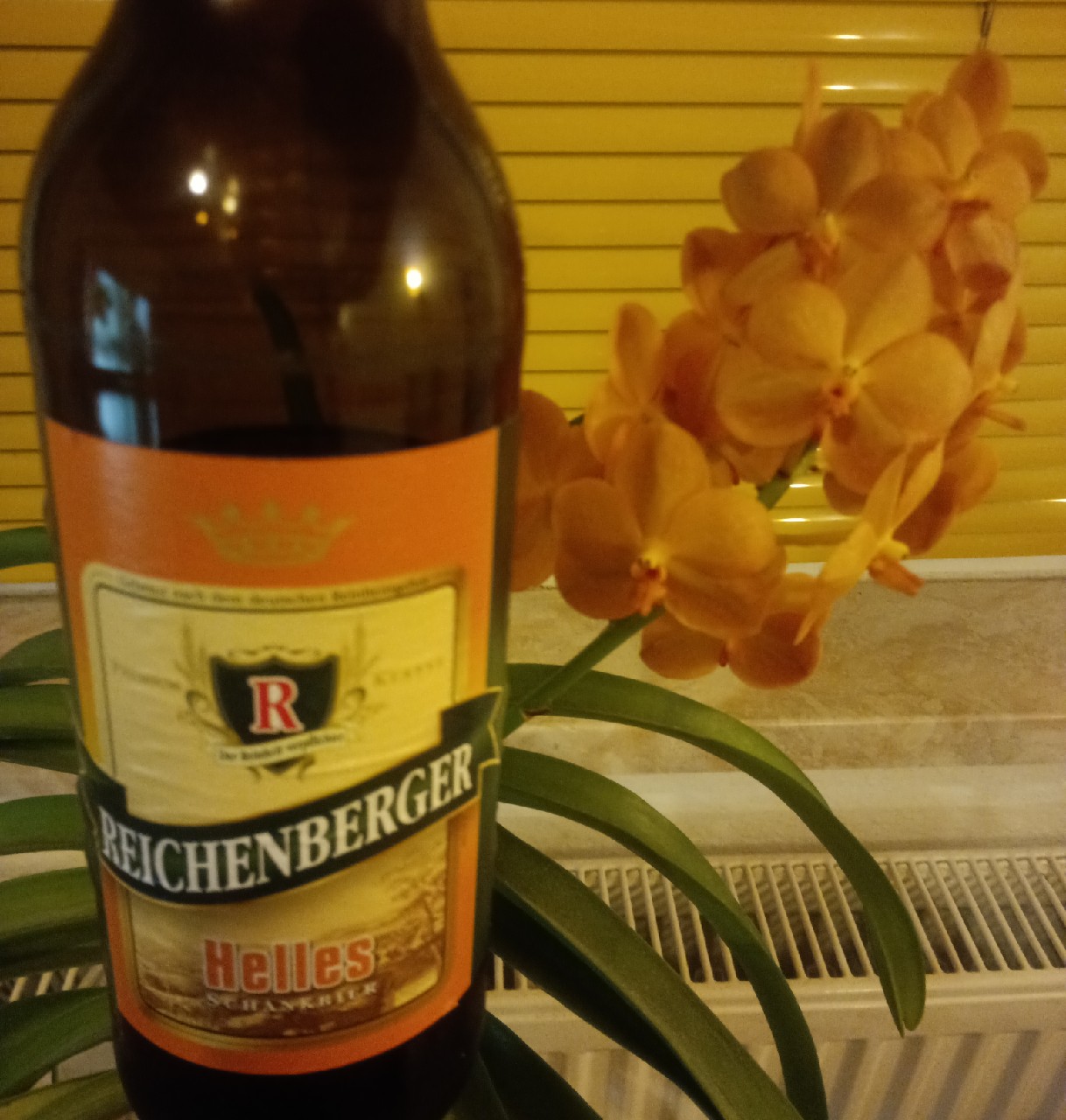 Reichenberger Helles Schankbier, Germany