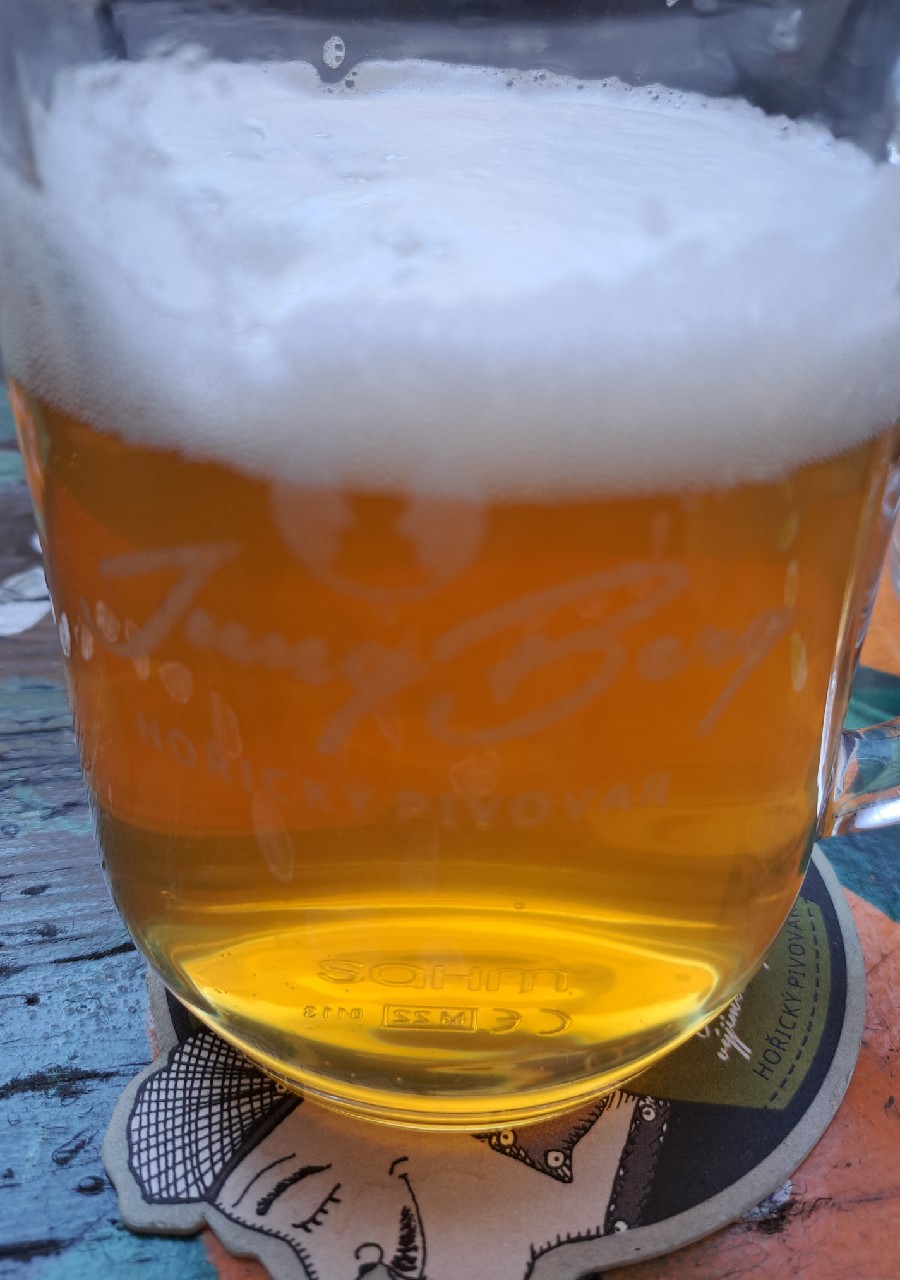 Jungberg PP 12°, Pivovar JungBerg