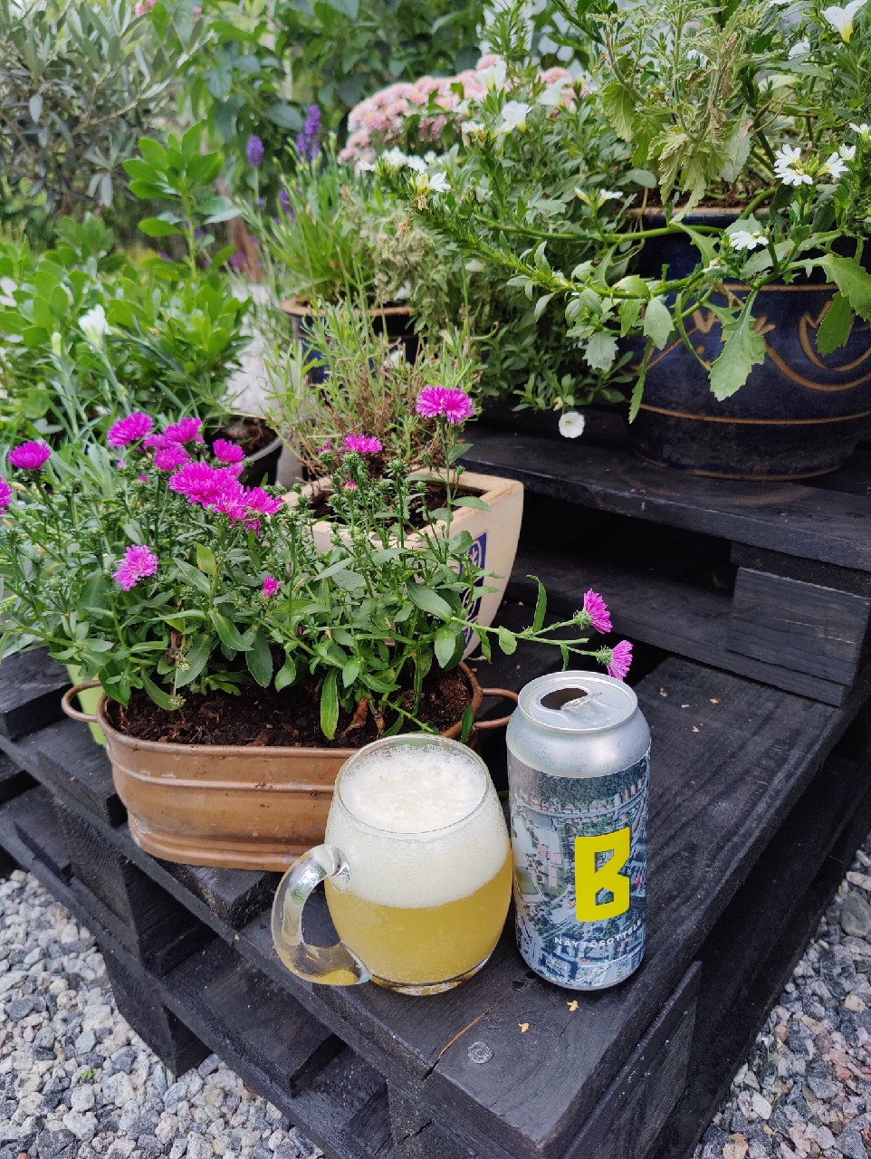 Näytösottelu, Finland