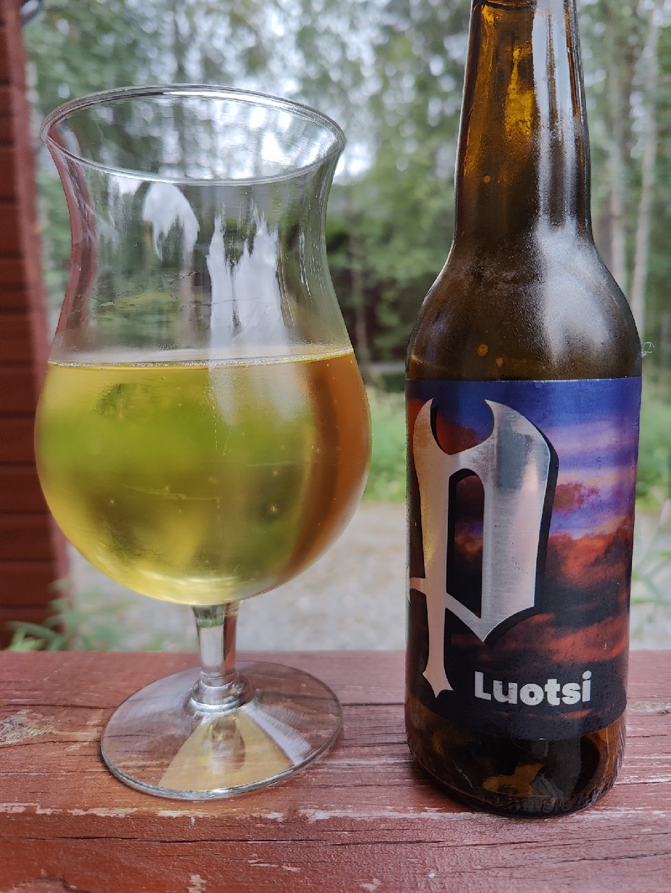 Luotsi, Finland