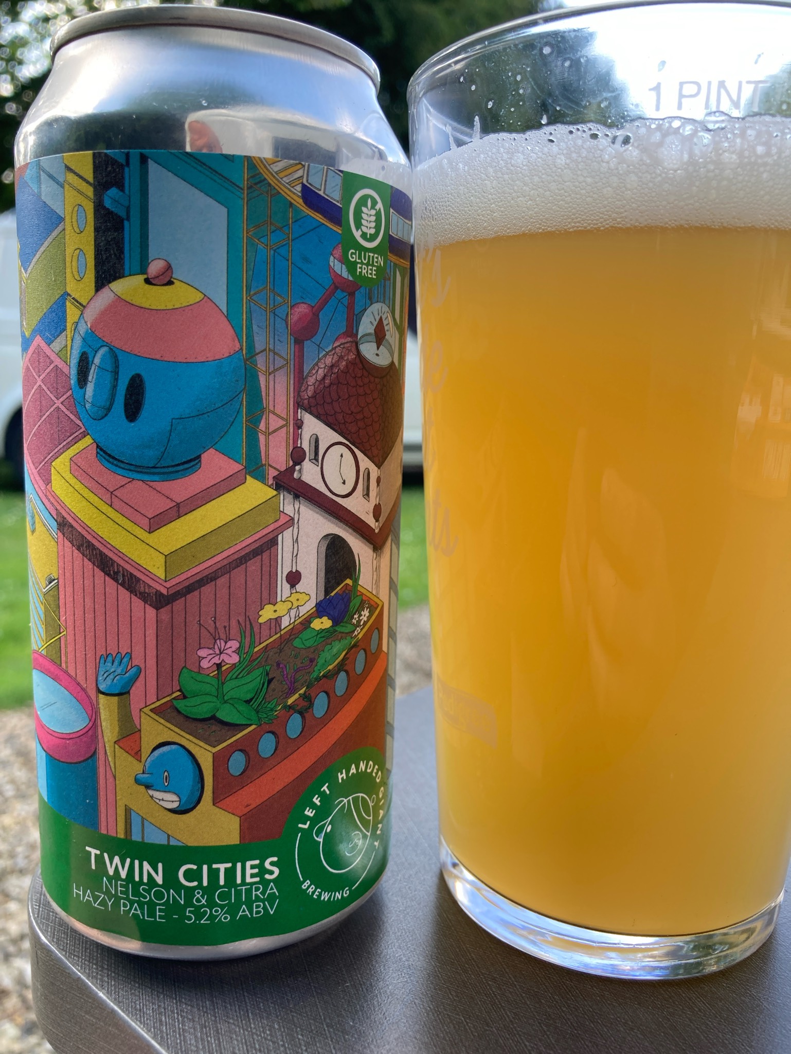 Twin cities: Nelson and Citra, England