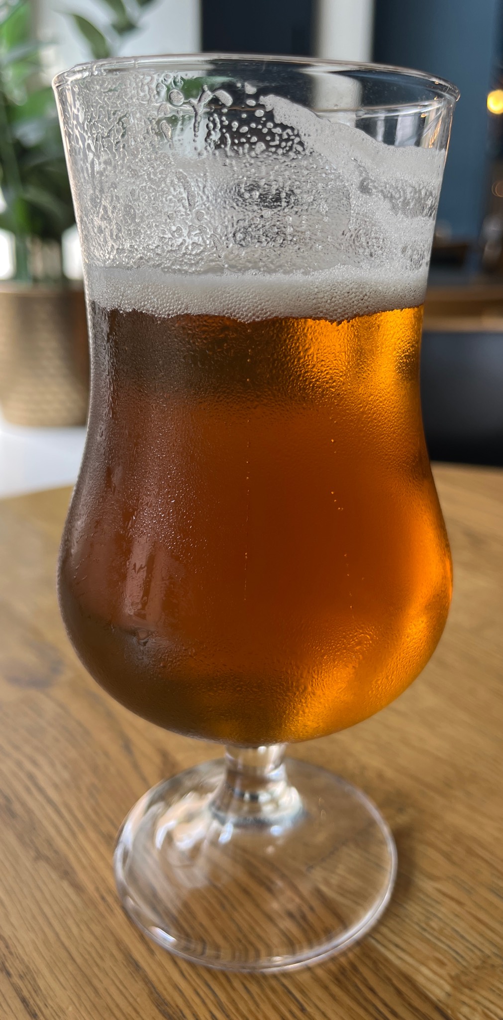 Goose Island Endless IPA, United States