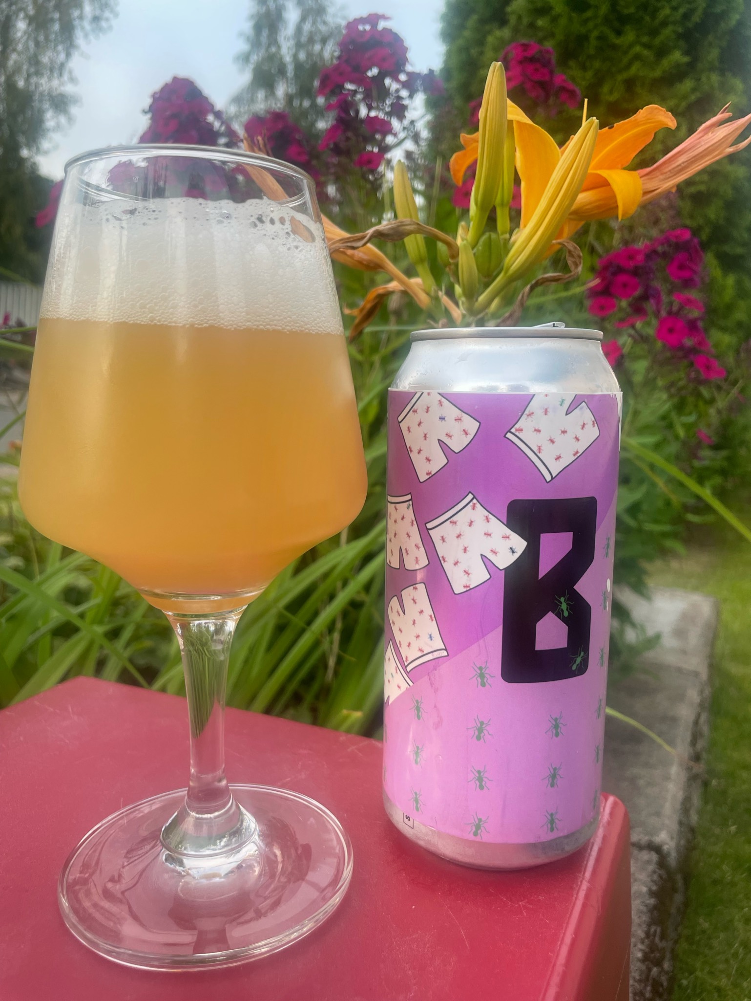 Ants In The Pants, Finland