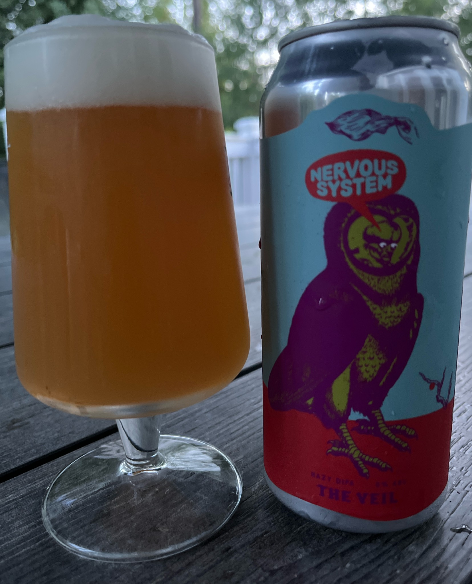 Nervous System, United States