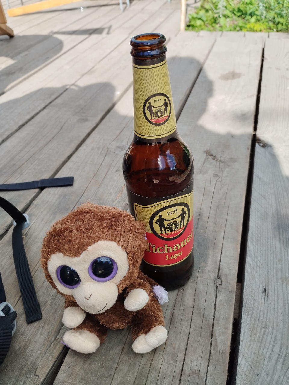 Tichauer Lager, Tichauer – Browar Obywatelski