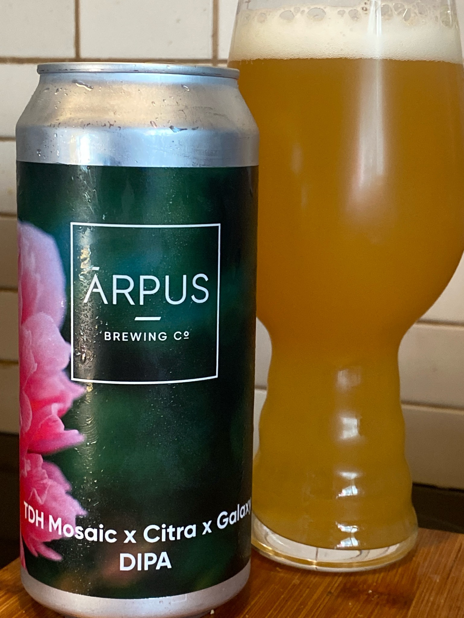 TDH Mosaic x Citra x Galaxy, Latvia