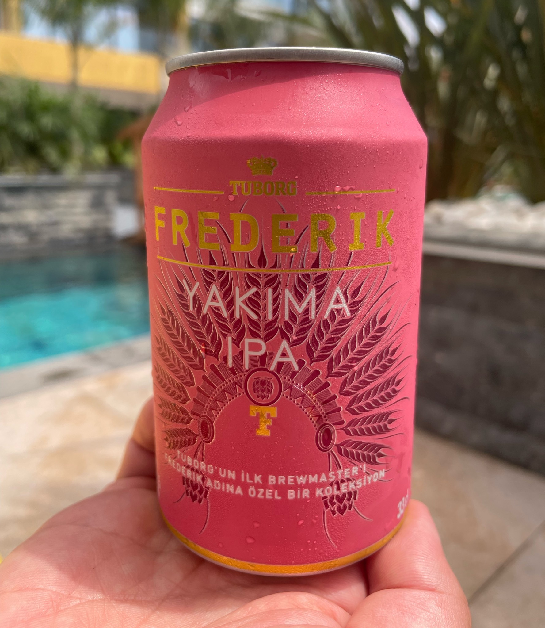 Frederik Yakima IPA, Turkey