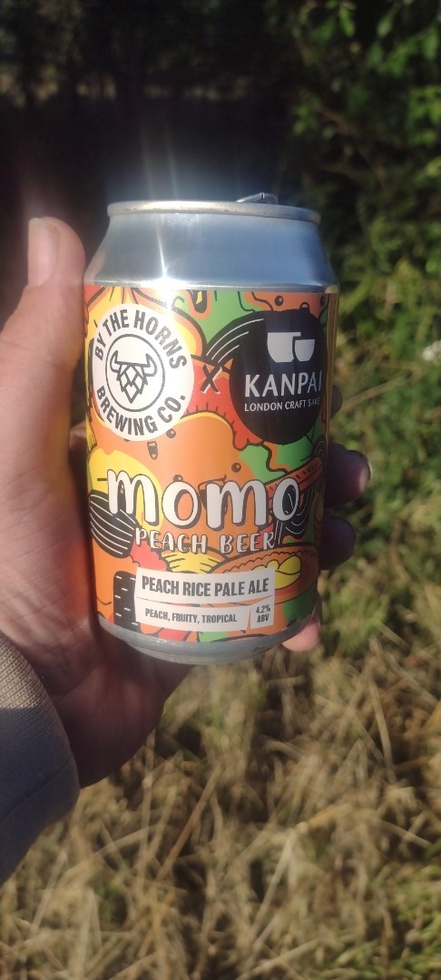 Momo 4.2% - By The Horns Brewing Co. - Pint Please