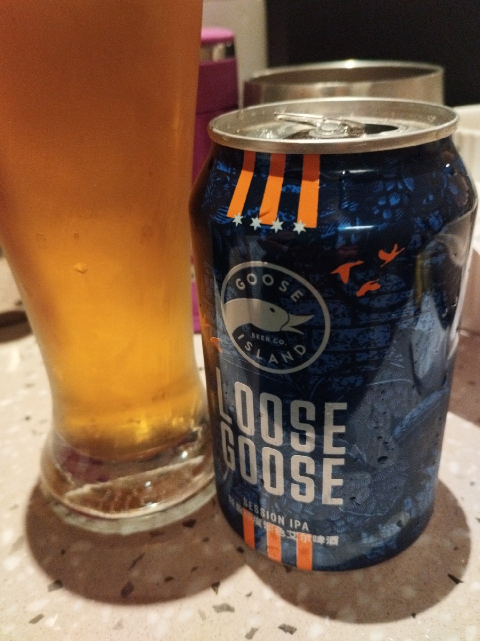 Goose On The Loose, United States