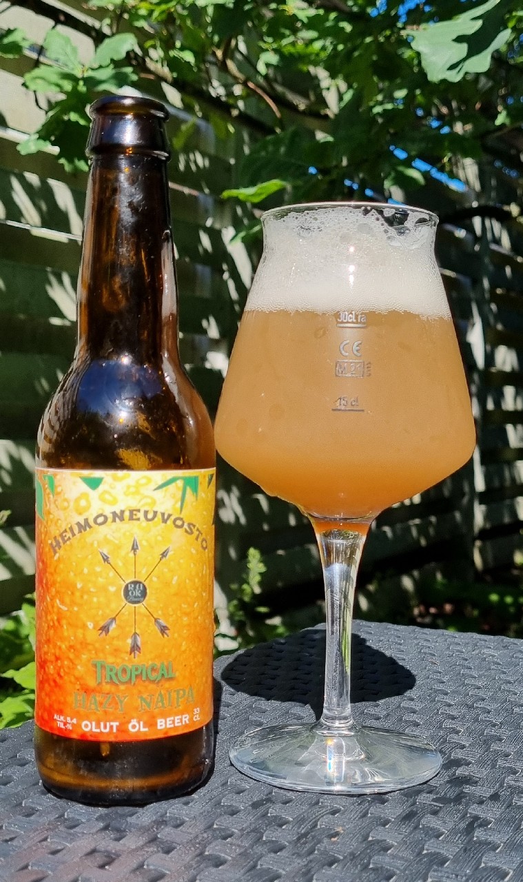 Heimoneuvosto, Finland