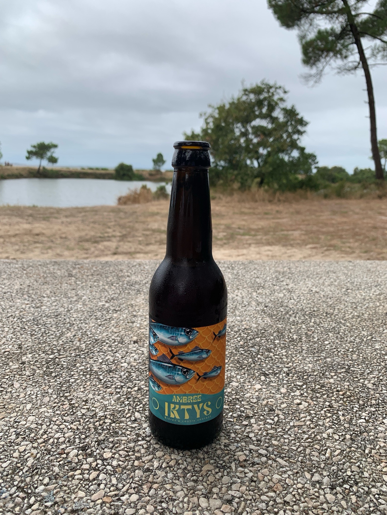 Iktys Ambrée, France