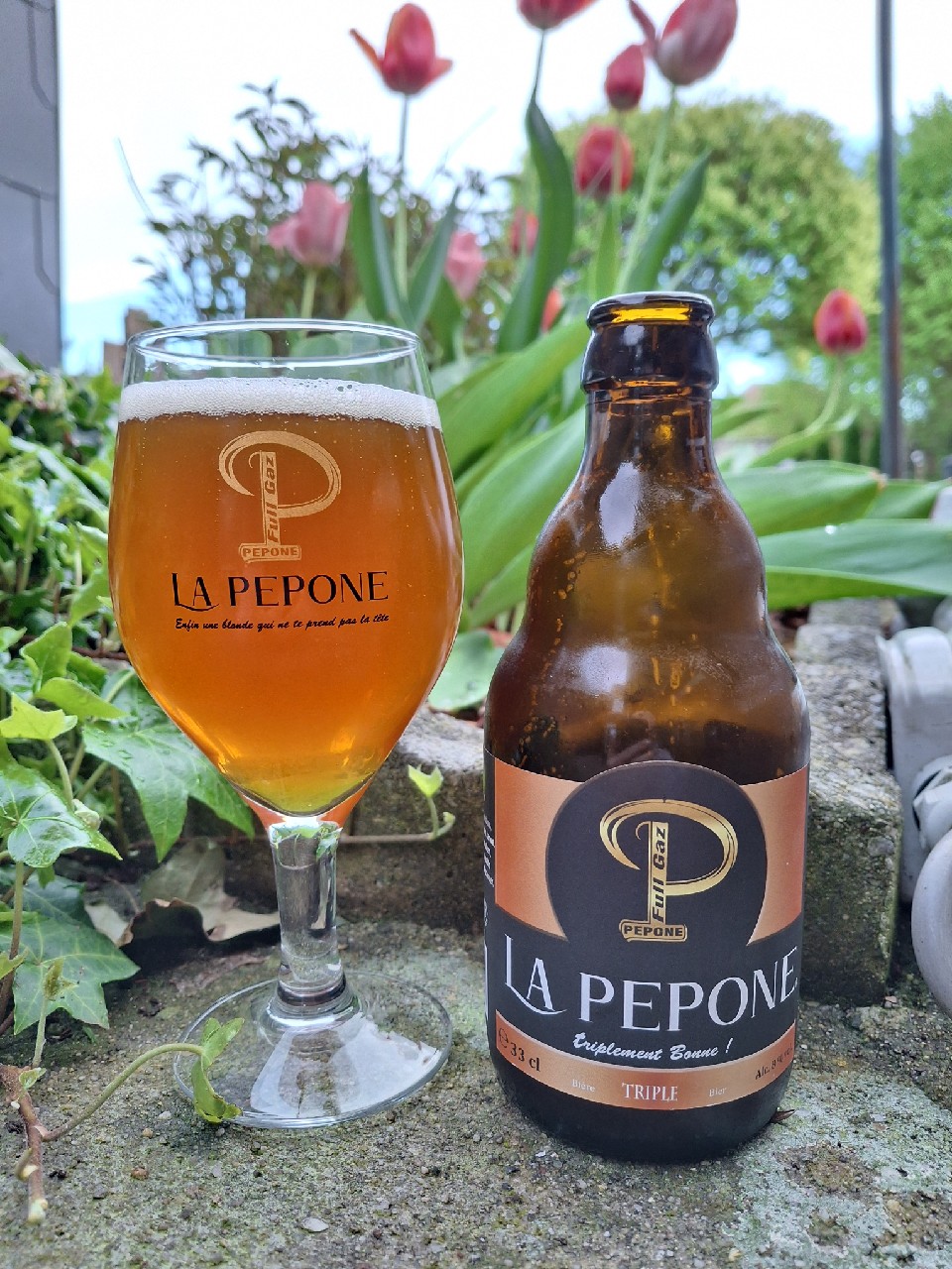La pepone triple, Brasserie des Plaines Meuse